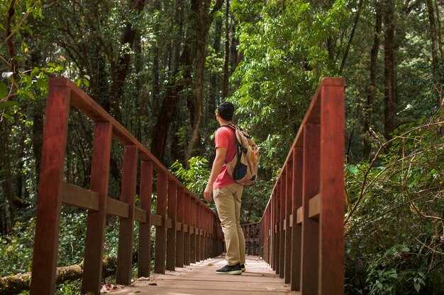 Walking Across the Singapore–Malaysia Border – A Practical Guide for Foot Travelers