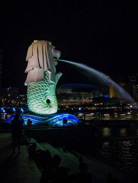 Application steps and timelines