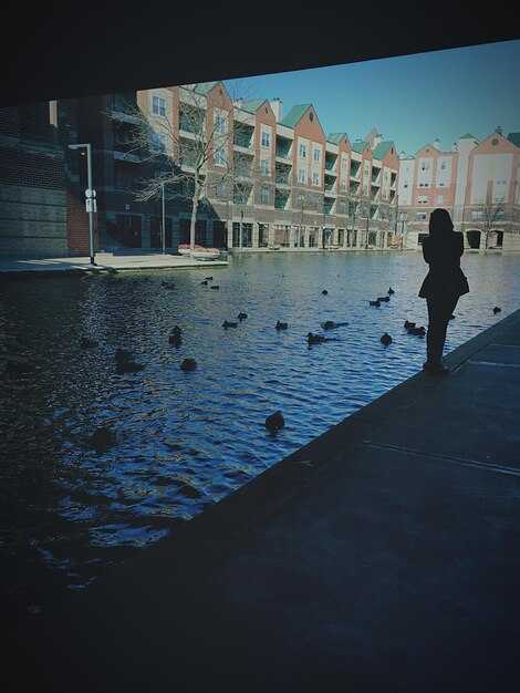 Explore acqua alta scenes: flood imagery and narrative meaning