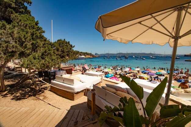 Smart alternatives within budget