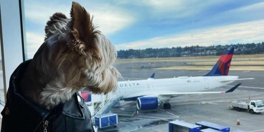 Delta Air Lines je vedoucí leteckou společností v USA, která je přátelská ke zvířatům