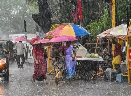 Heavy Rain Leads to Closure of Major Tourist Attractions in Ooty