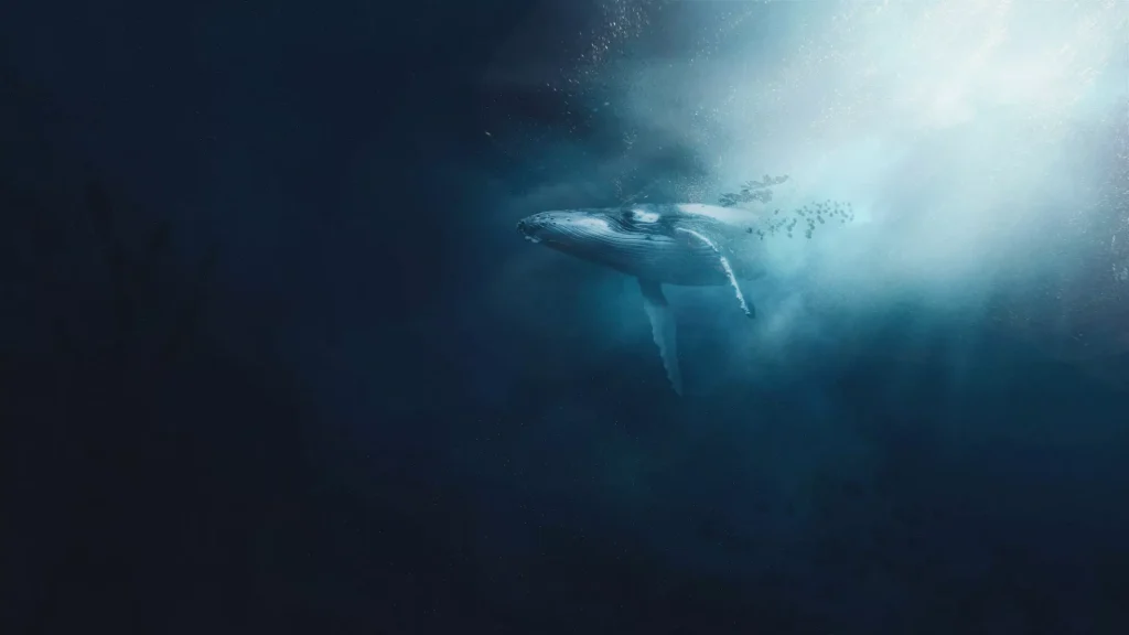 The Impact of Whale Songs on Tourists’ Environmental Mindset