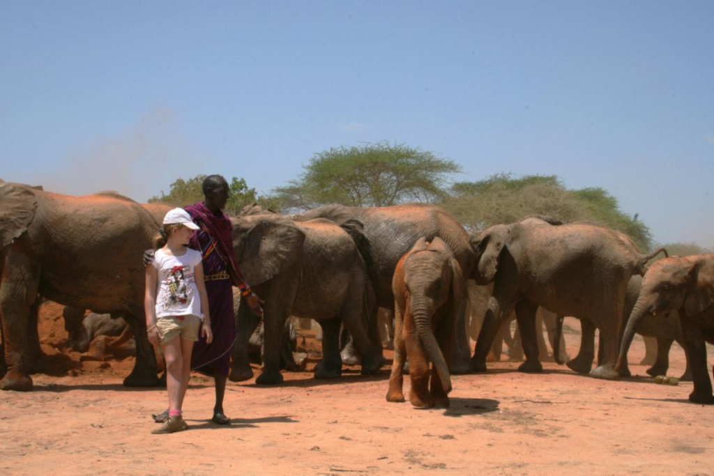Transformative Travel Experiences in Africa: A New Approach to Conservation