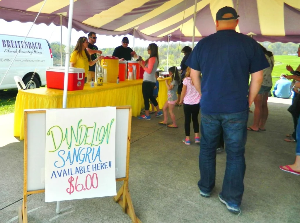 Highlights of Ohio Festivals Taking Place on May 1-4, 2025
