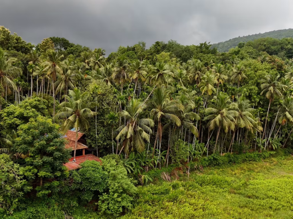 Experience the Tranquil Charm of Goa’s #GlowOnArrival Campaign