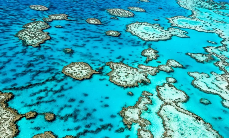Australia’s Travel and Tourism Sector Looks Set to Contribute $315 Billion by 2025