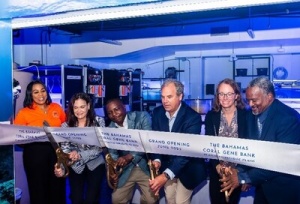 The Bahamas Launches Bold Initiative for Coral Reef Conservation