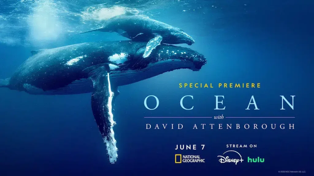The Importance of Our Oceans: A Call to Action