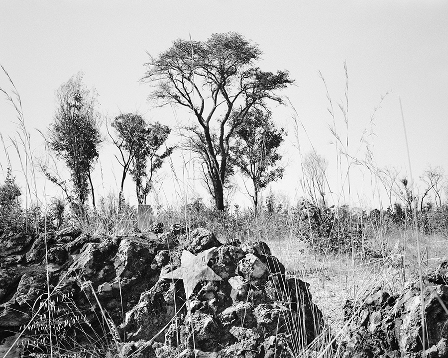 The Interplay of Memory, Landscape, and Photography in Contemporary Art