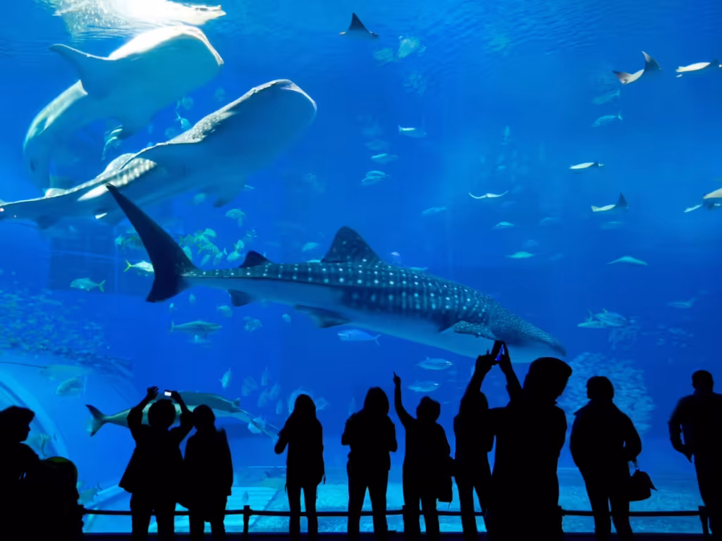 The Future of Rome’s Ambitious Aquarium Project in Jeopardy