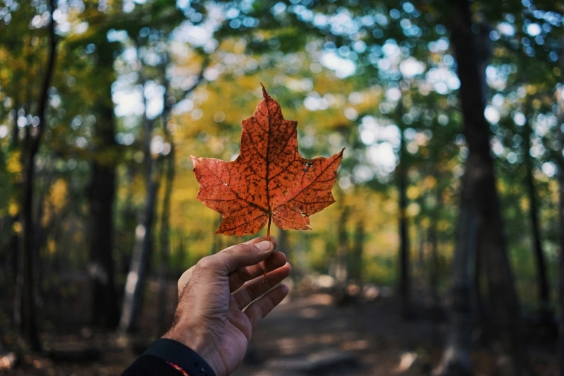 Hoe de Canadese toeristische sector de economische groei overtreft