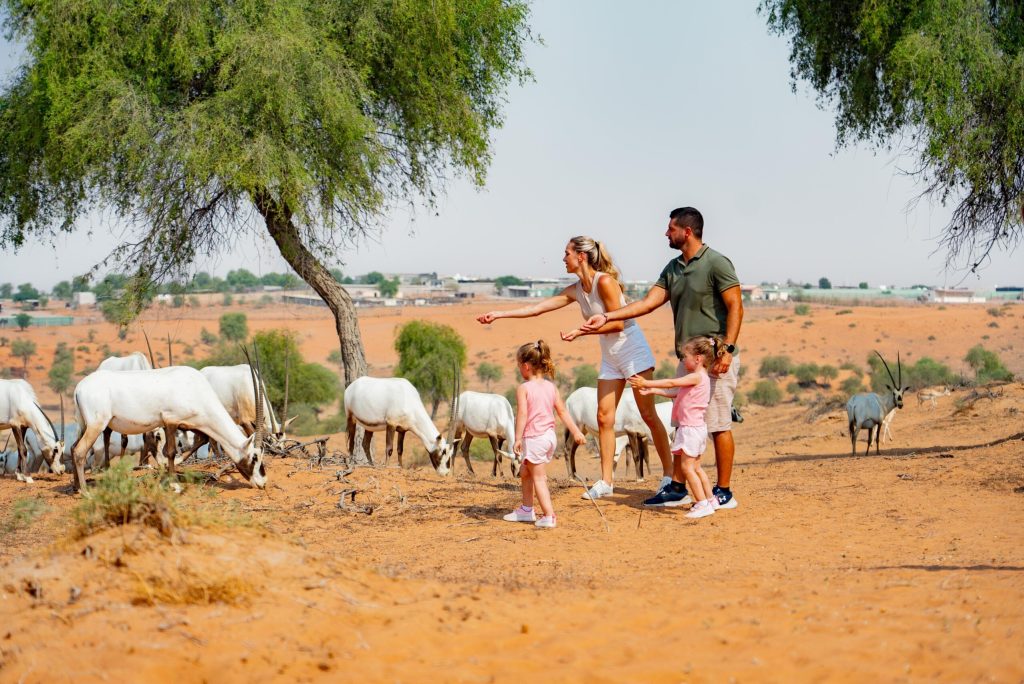 Ras Al Khaimah: An Exemplary Destination for Nature Conservation