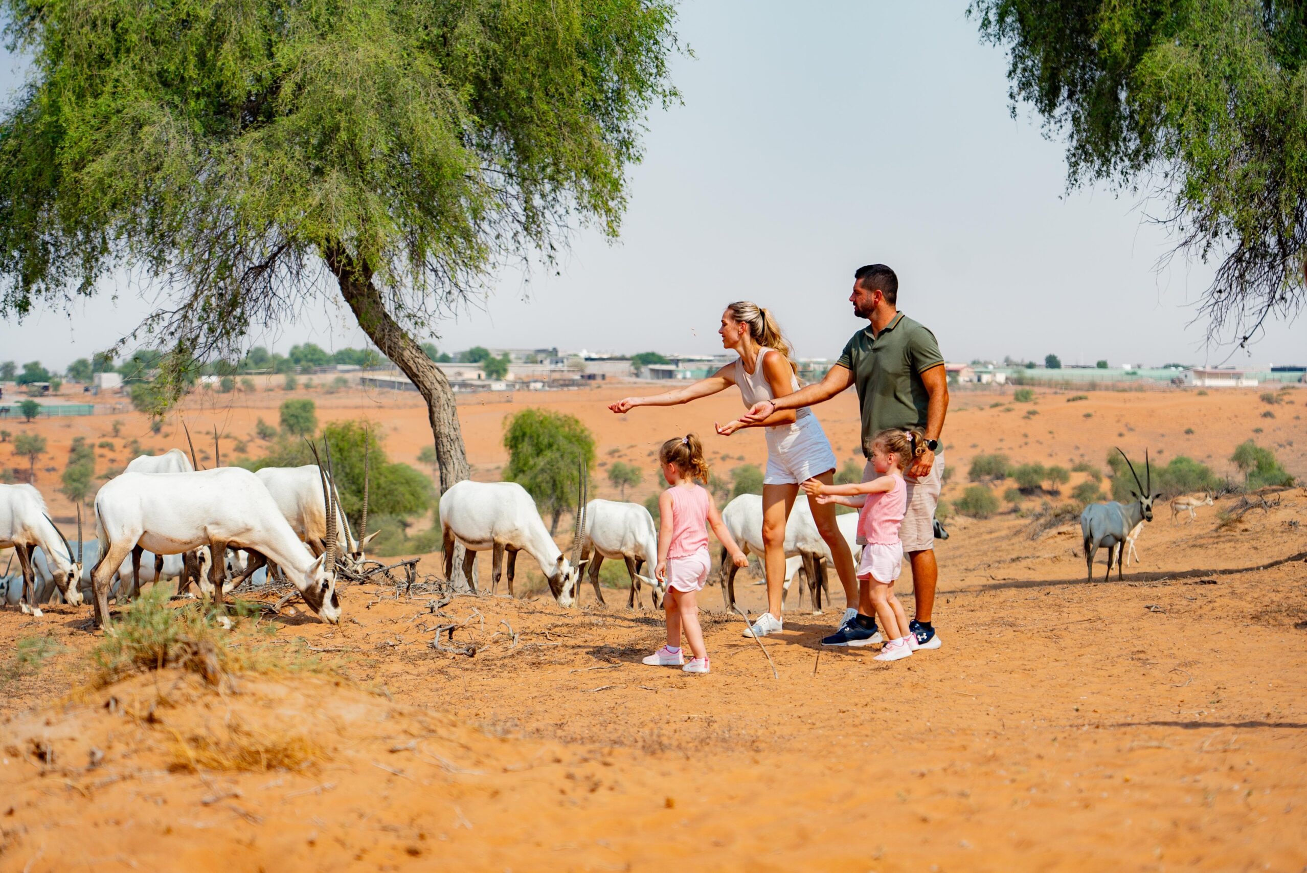 Ras Al Khaimah: An Exemplary Destination for Nature Conservation