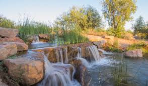 Things to Do in Chandler AZ: Explore the Best Attractions