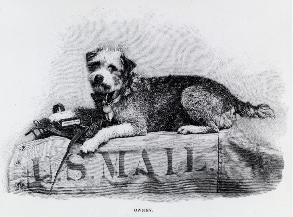 The Journey of Owney the Postal Dog Through St. Louis