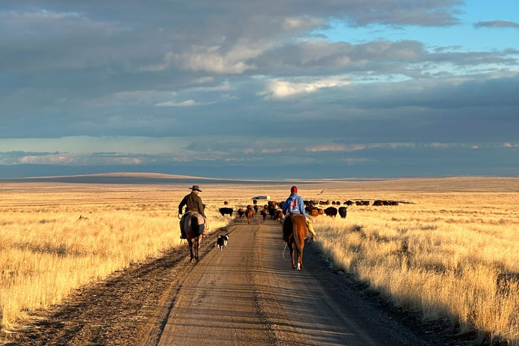 Crafting Community in Idaho: Family Traditions of Western Artisans