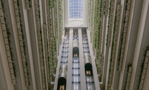 InterContinental Brisbane Welcomes Guests as the Brand’s First Property