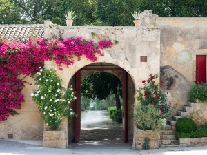 Explore the Wondrous Vineyards of Southeastern Sicily
