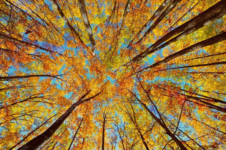 Exciting Best Places to Visit in October