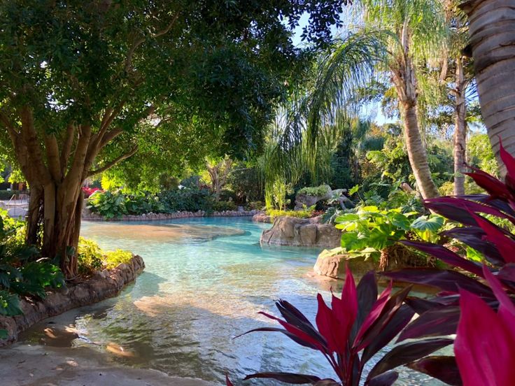 Amazing Tropical Places to Visit: Discover Your Paradise