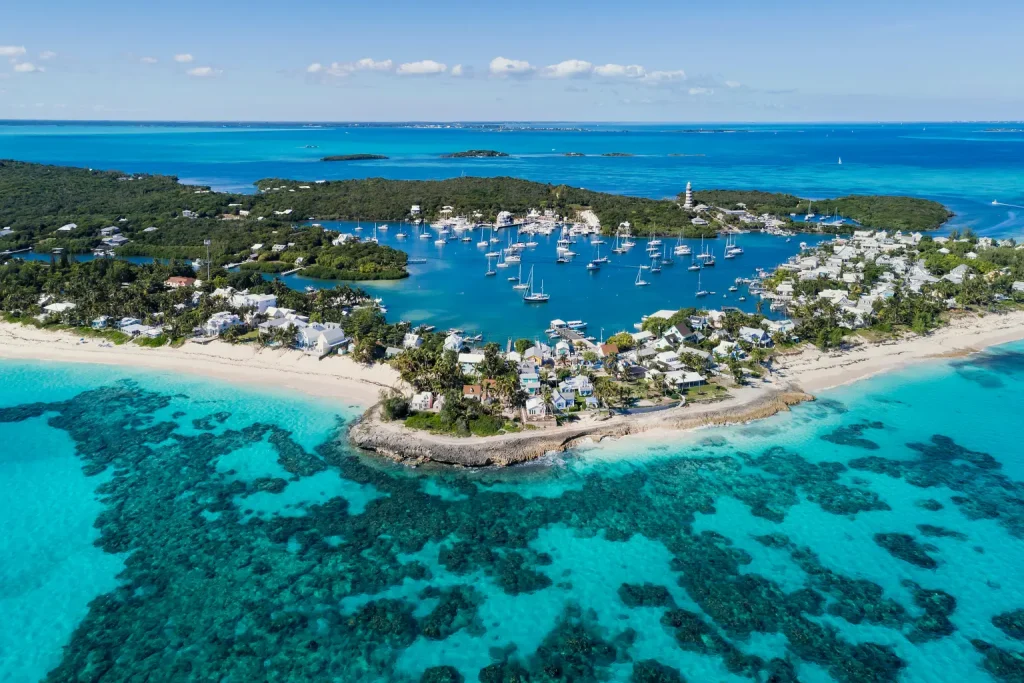 Shark Attack in the Bahamas: A Cautionary Tale for Travelers