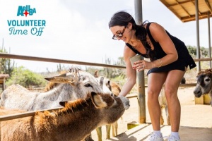 Aruba Introduces a Purposeful Travel Experience Through Voluntourism