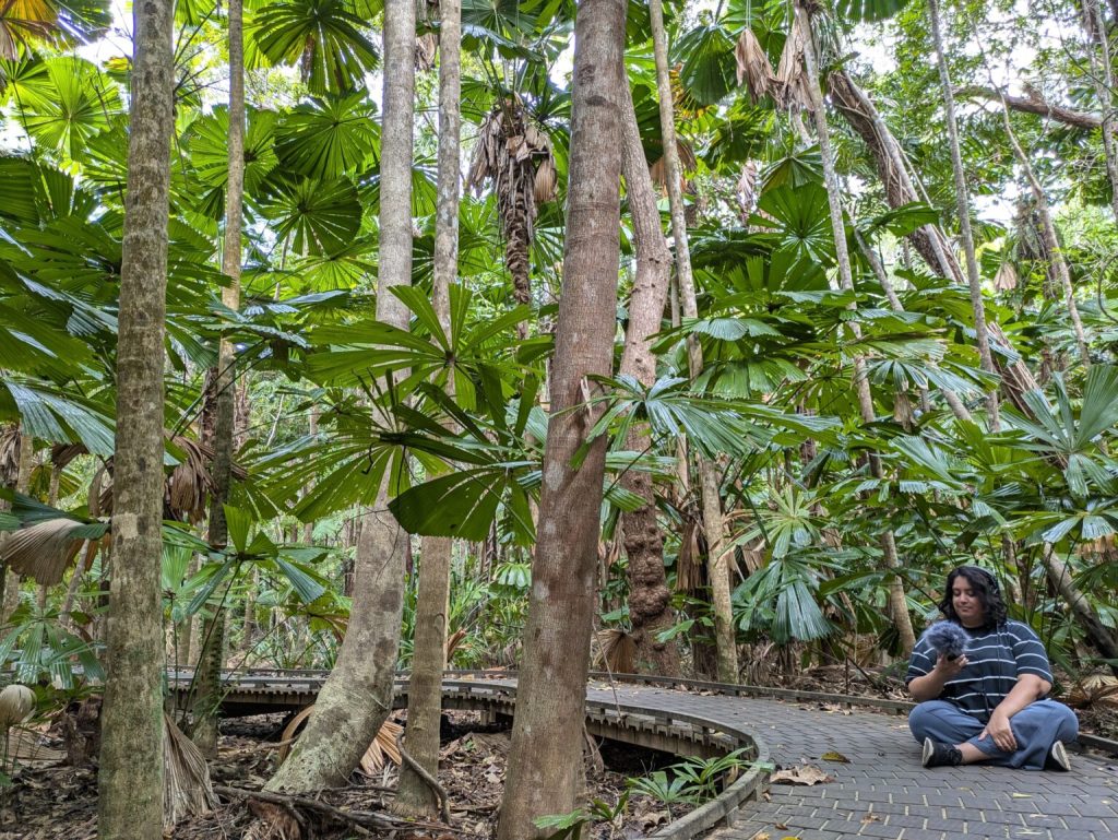 Discovering Nature’s Symphony: The Impact of Sound Art on Education