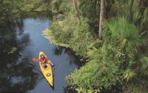 Discover Fort Myers: A Thriving Haven for Outdoor Lovers