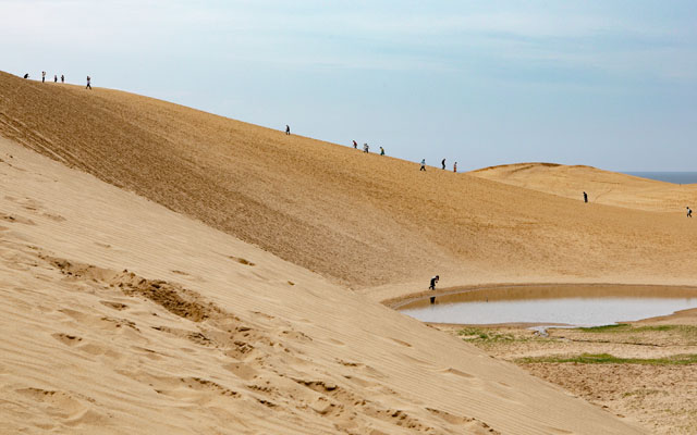 Discovering Eco-Tourism Initiatives at Tottori Sand Dunes