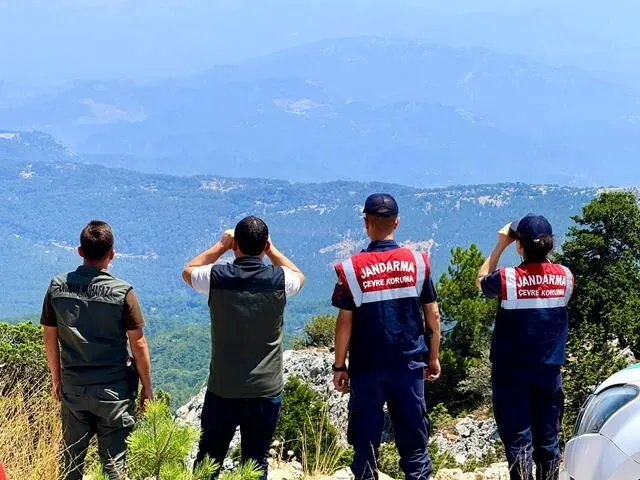 Fethiye’s Latest Updates on Wildlife, Environment, and Community Engagement