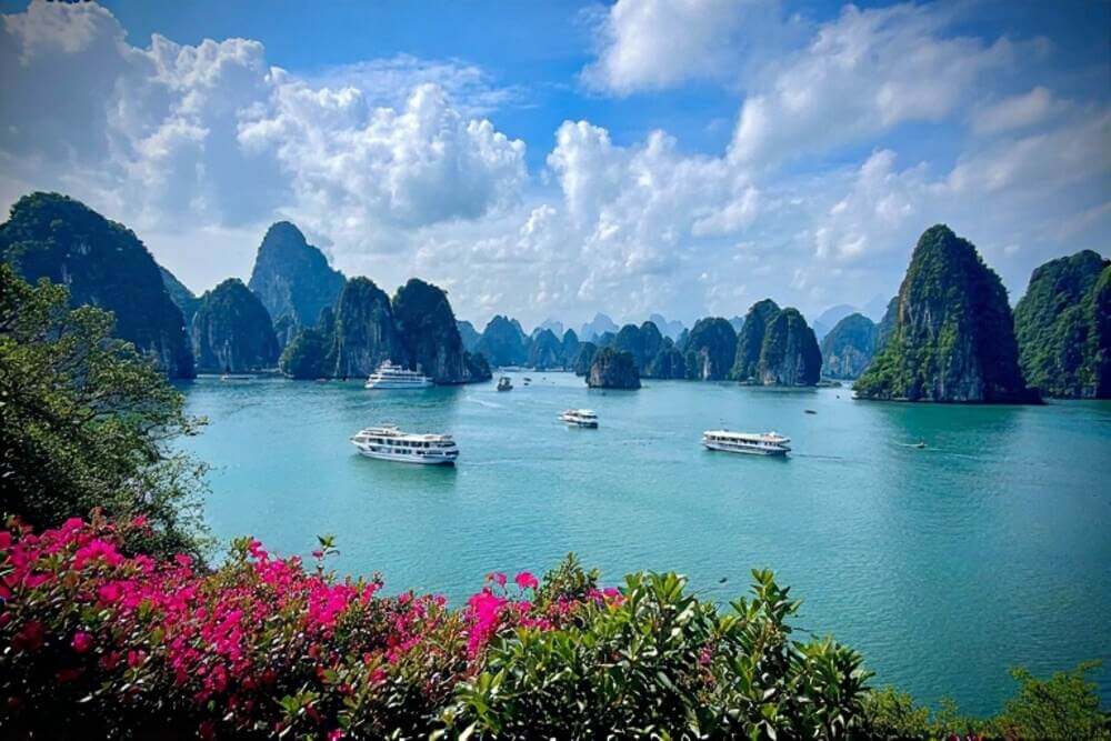 Croissance du tourisme au Vietnam : plus de 12 millions de visiteurs internationaux et un objectif de 25 millions