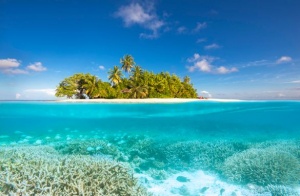 W Maldives Teams Up with MARS Sustainable Solutions to Champion Coral Reef Revival in the Maldives