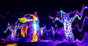 Rejoignez la célébration du 30e anniversaire de Nocturnal Wonderland