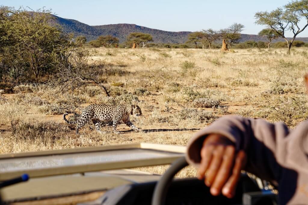 South Africa and Africa’s Expanding Tourism Sector: Investment Insights and Opportunities