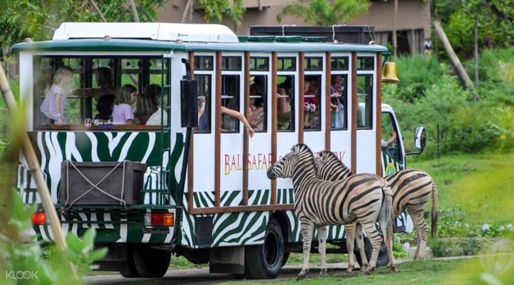 Explore the New Marine Safari Bali by Taman Safari Indonesia, Designed with Indian Travellers in Mind