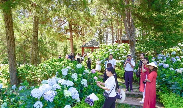 Explore the Highlights of Lâm Đồng Tourism Month with Cultural Events and Unique Tours