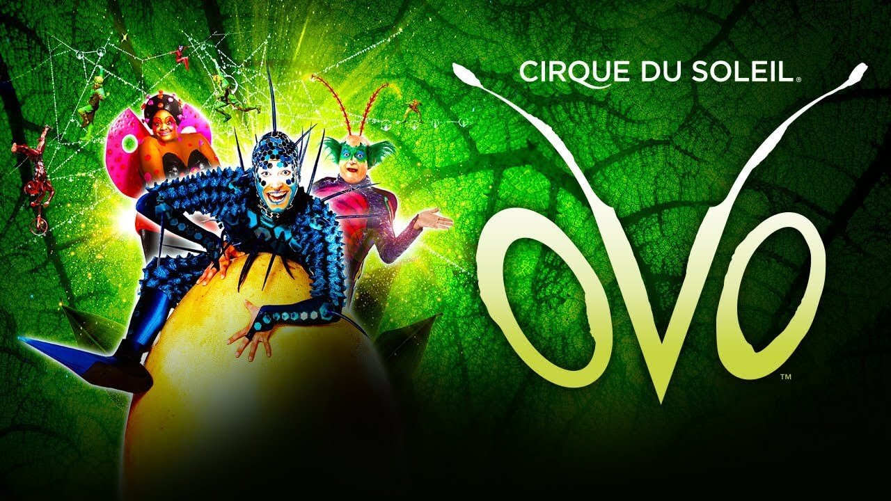 Cirque du Soleils 'Ovo' återvänder till Royal Albert Hall med spännande bussresealternativ Cirque du Soleils 'Ovo' återvänder till Royal Albert Hall med spännande bussresealternativ