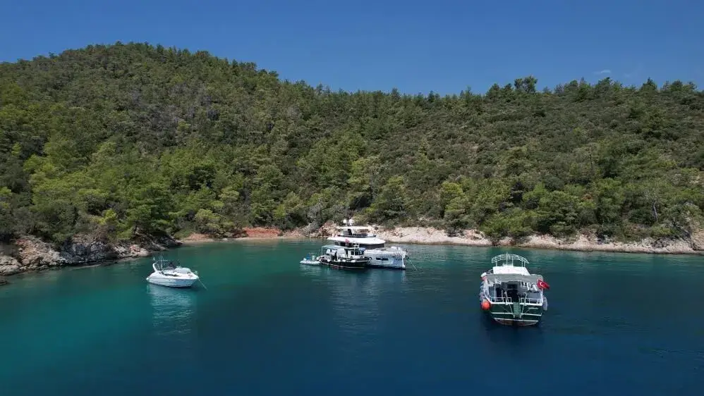 Insightful Updates from Fethiye and Muğla: Environment, Transport, Wildlife, and Community in Focus
