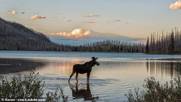 What to Expect in Travel for 2026: From Hotel Hopping to Farm Charm