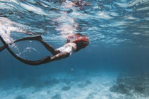 Maldives Tourism Experiences Record Growth with Global Acclaim Boosting Visitor Numbers