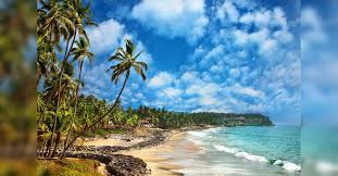 Experience the Yaanam Travel Literary Festival in Varkala with noted authors and artists