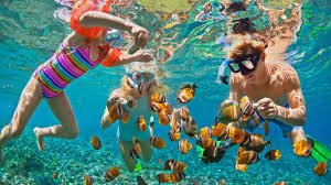 Unforgettable Things to Do in Honolulu with Kids: Your Ultimate Family Guide