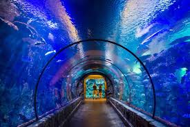Top Family Things to Do in Las Vegas