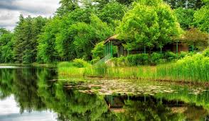Amazing Things to Do in Manchester, NH