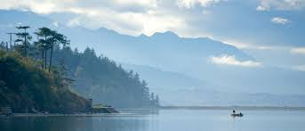 Fun and Unique Things to Do in Sequim, WA