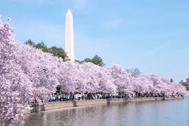 Fun and Free Things to Do in Washington, DC