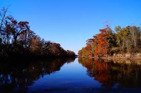 Things to Do in Greenville, NC