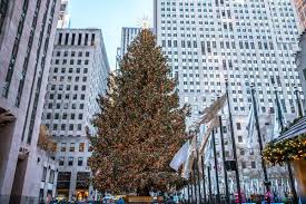 Explore Amazing Things to Do in New York in December