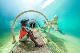 Ultimate Guide to Things to Do in Miami with Kids Ultimate Guide to Things to Do in Miami with Kids